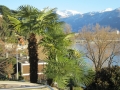 attika00023ostblick2-balkon_20121223_1522252952