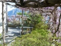 immobilie-locarno-ausblick-lago-maggiore3_20121107_1032363991