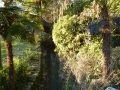 villa-palmengarten-fluss_20121223_1426810787