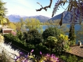 immobilie-tessin-attika00002_20130109_1180019372