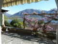 immobilie-tessin-attika00003_20130109_1825054691