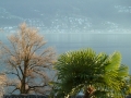 immobilie-tessin-attika00052_20130109_1854838792