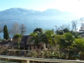 immobilie-tessin-attika00002-lago-maggiore-seeblick_20121229_1660149358